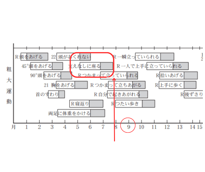 DENVERⅡ デンバー発達判定法 子どもの発達 | 看護師国家試験対策